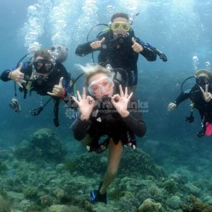 Галерея Дайвинг в Кабардинке #0