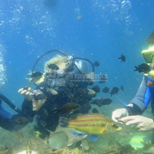 Галерея Дайвинг в Кабардинке #1