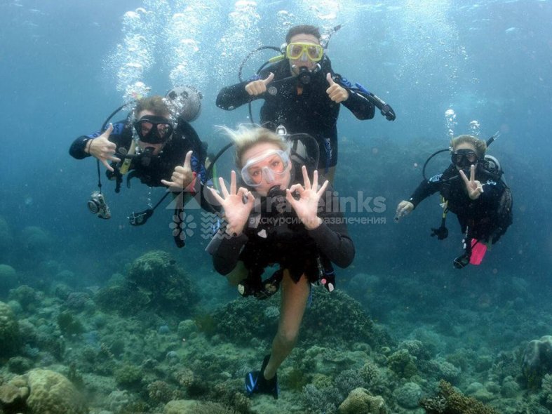 Галерея Дайвинг в Кабардинке #0
