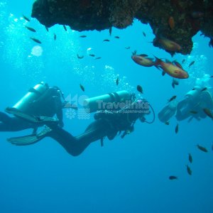 Дайвинг в Кабардинке