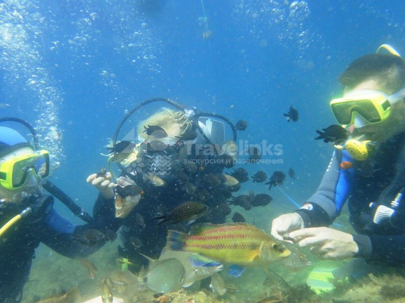 Галерея Дайвинг в Кабардинке #1