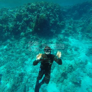 Фридайвинг