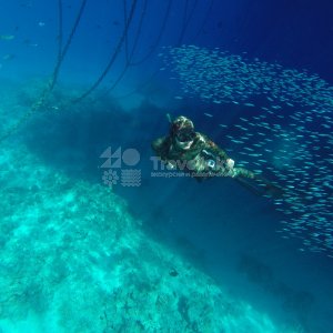 Галерея Подводная охота #2