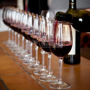 Галерея Геленджик и парк «Олимп» #4