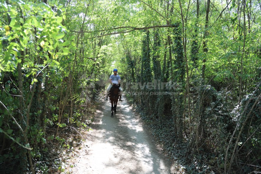 Галерея Прогулка на лошадях к озеру Церковному (1,5 часа) #2