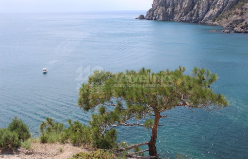 Можжевеловая роща Кабардинки