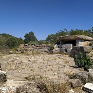 Галерея Гора Нексис #0