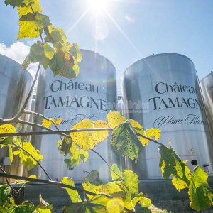 Галерея Тур в Шато-Тамань #0