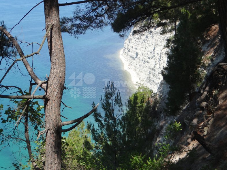 Галерея Маршрут на квадроциклах «К скале Парус» из Геленджика #1