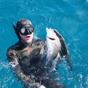 Галерея Подводная охота #3