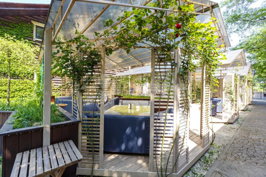 Галерея Ягода Малина #8