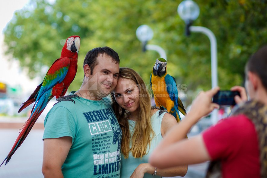 Галерея Центральный парк #0