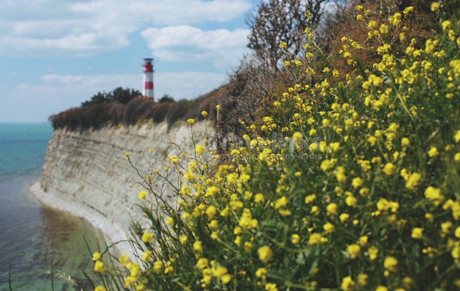 Галерея Дикий пляж «Круча» #0