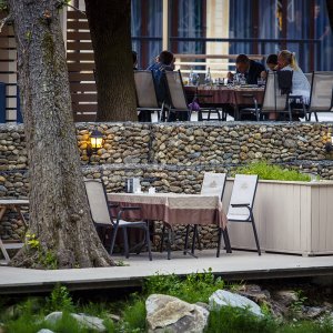 Галерея Ягода Малина #4