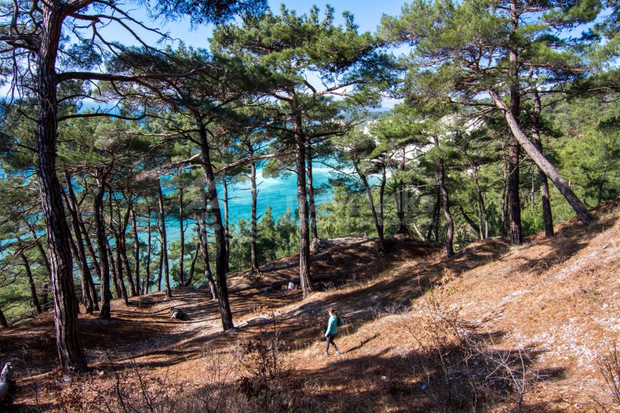 Галерея Голубая бездна #0