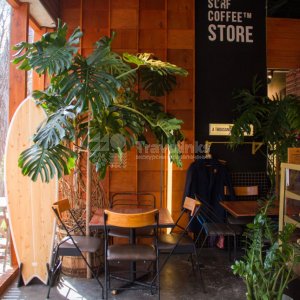 Галерея Surf coffee #7