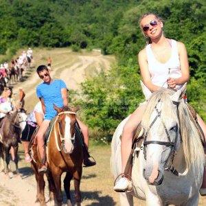 Конные прогулки в Прасковеевке