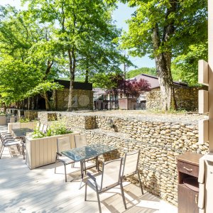 Галерея Ягода Малина #0