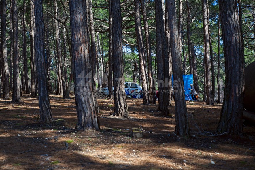 Галерея Голубая бездна #3