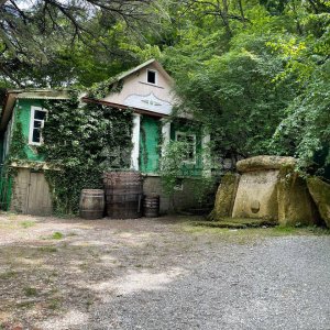 Галерея Дом-музей Владимира Короленко #10