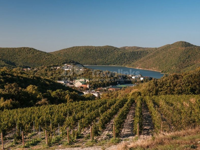 Галерея Авторская VIP-экскурсия в «Абрау-Дюрсо» #4