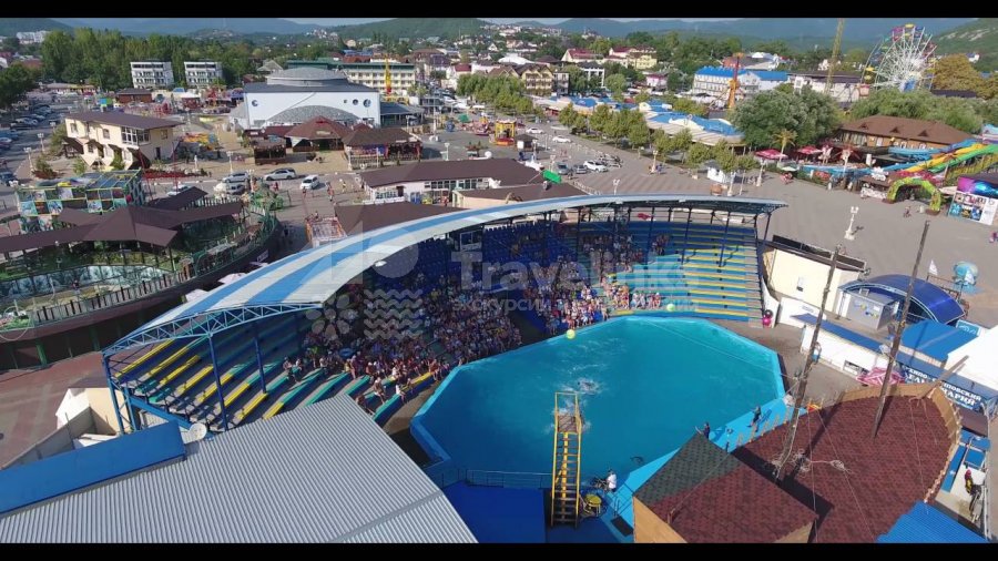 Галерея Дельфинарий в Архипо-Осиповке #1