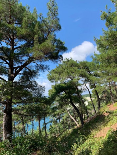 Терренкур в Голубую бездну