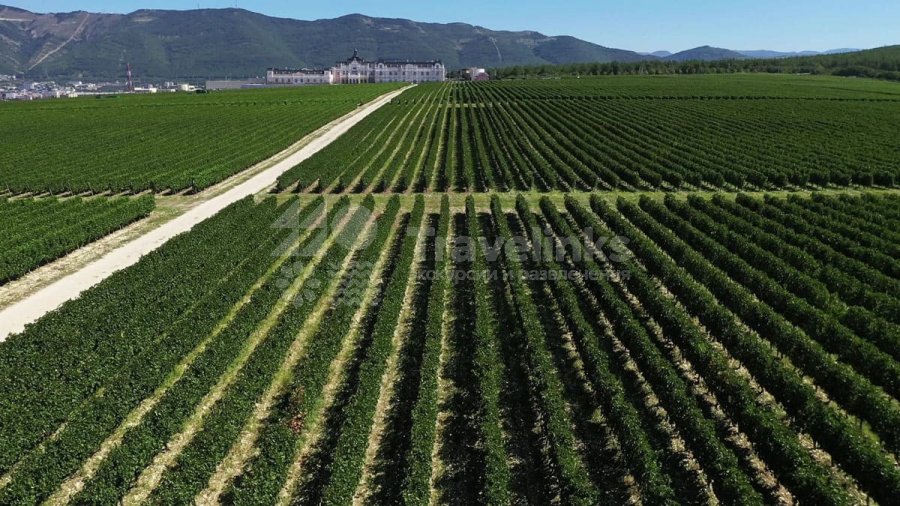 Галерея Шато де Талю (Chateau de Talu) #1