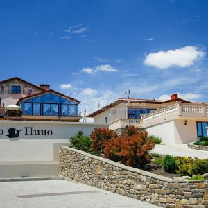 Галерея Авторская экскурсия в Шато Пино #1