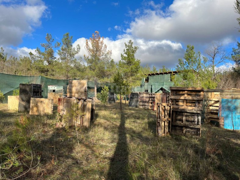 Галерея Пейнтбол #0