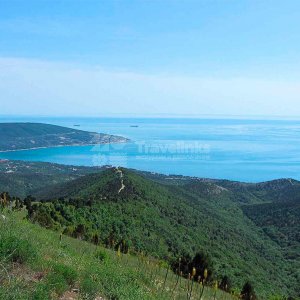 Галерея Можжевеловая роща Кабардинки #1