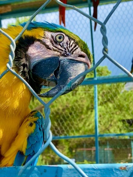 Галерея Сафари-парк Геленджик #5