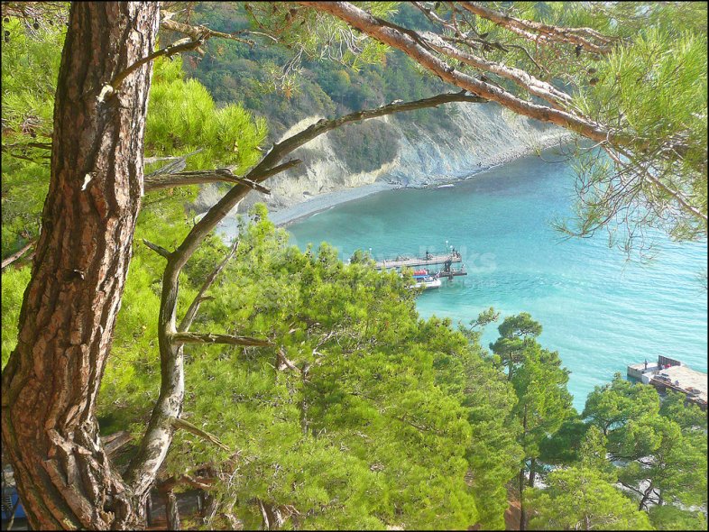 Галерея Джанхотский бор #3