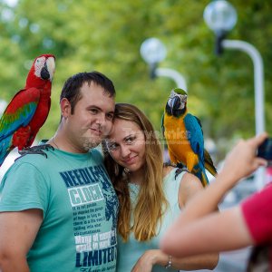 Галерея Центральный парк #0