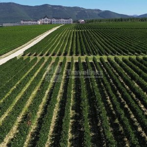 Галерея Шато де Талю (Chateau de Talu) #1