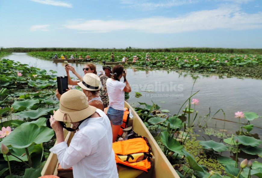 Галерея Долина лотосов на Тамани #3