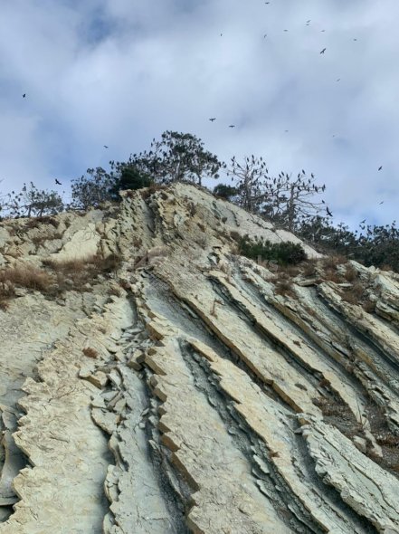 Галерея Рио и мыс Дооб #3