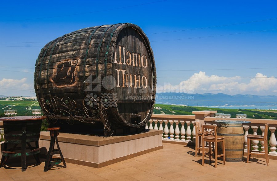 Галерея Авторская экскурсия в Шато Пино #0