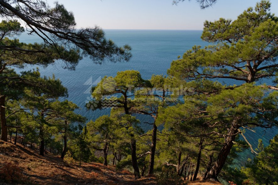 Галерея Авторская экскурсия к скале «Парус» #0