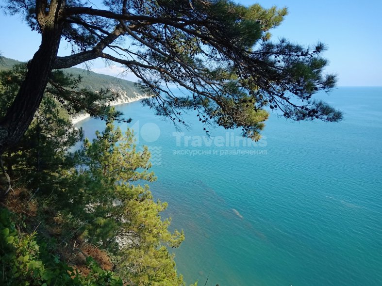 Галерея Бетта #2