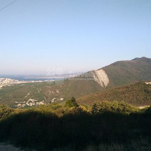 Галерея Гора Нексис #3