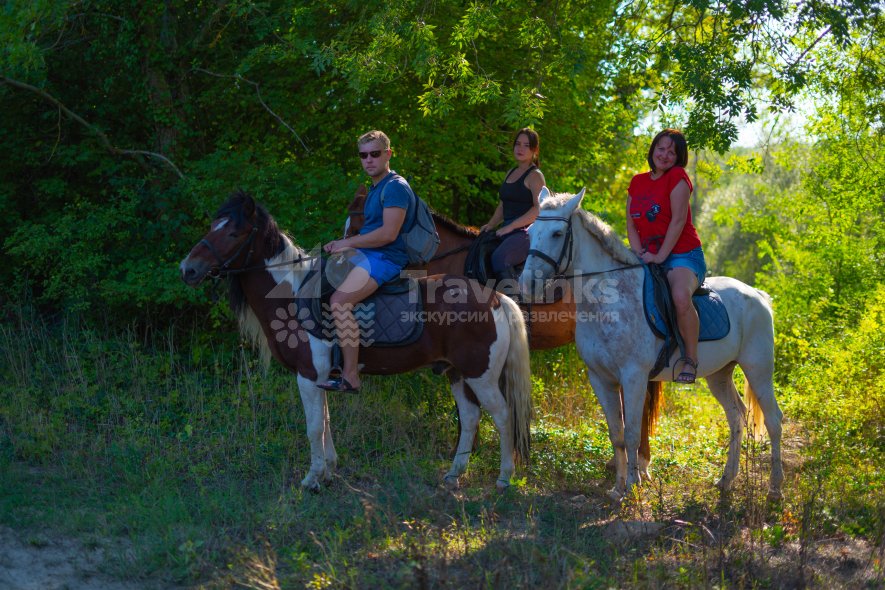 Галерея Прогулка на лошадях к озеру Церковному (1,5 часа) #0