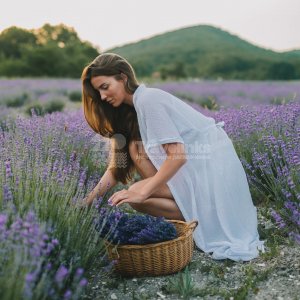 Галерея Фототур на лавандовые поля #3