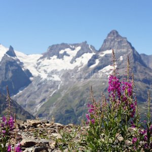 Галерея Домбай-Теберда-Архыз #0