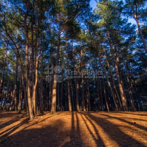 Галерея Голубая бездна #2