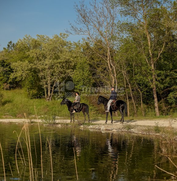 Галерея Прогулка на лошадях к озеру  (1 час) #3