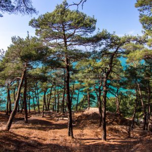 Галерея Голубая бездна #4