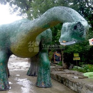 Галерея Геленджик и сафари-парк #3