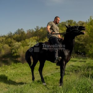 Галерея Прогулка на лошадях к озеру Церковному (1,5 часа) #5