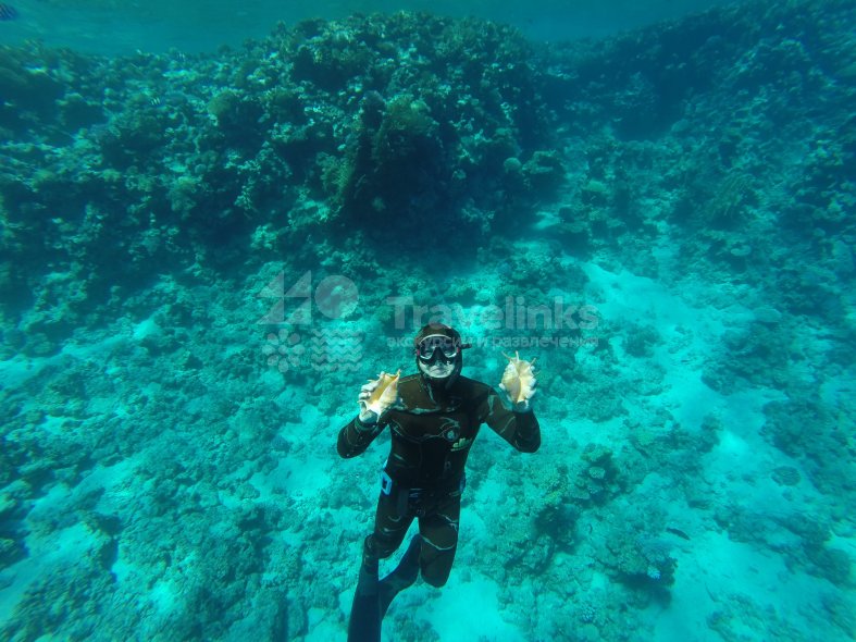 Галерея Подводная охота #1